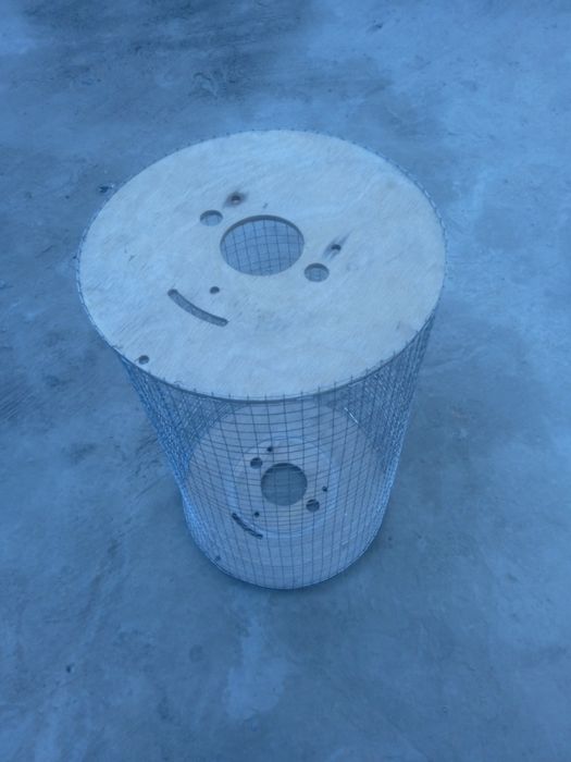 Katak sotiladi kichik jujalar va qushlar uchun