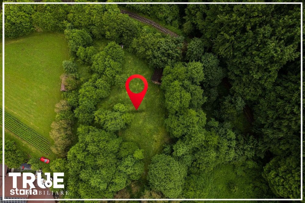 Teren intravilan 2.800 m² în Câmpu Cetății – liniște și natură