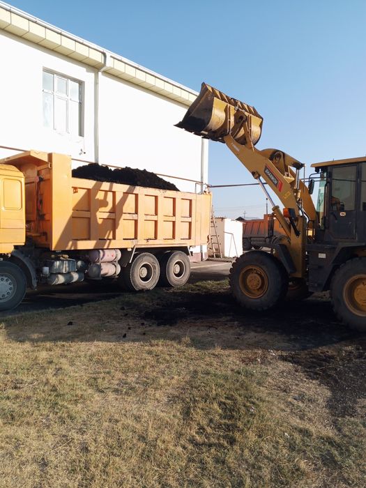 Shakman 2013 sotiladi