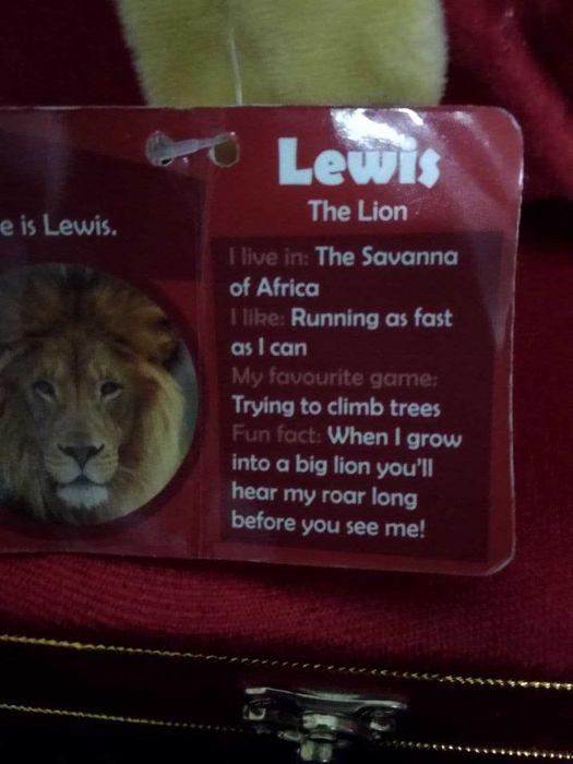 Игрушка-одеяло детское,ЛЕВ,новая,Эмираты