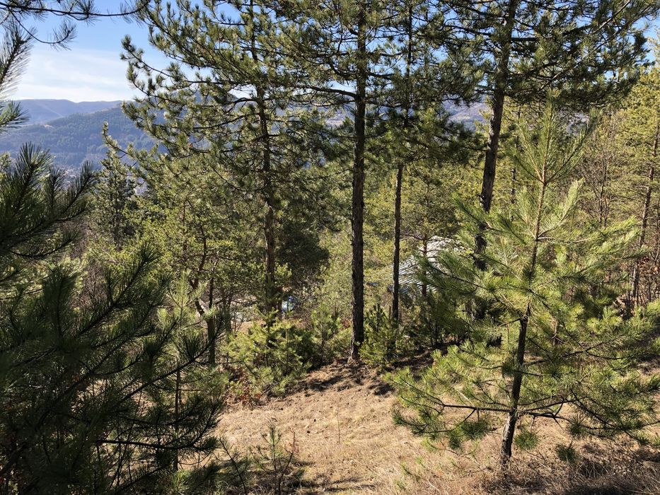 Продава се Парцел в с. Луково, Област София-област - 840 кв.м за 28 €/кв.м - Снимка #5