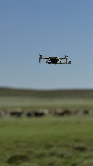 Дрон DJI mini 2 fly more combo