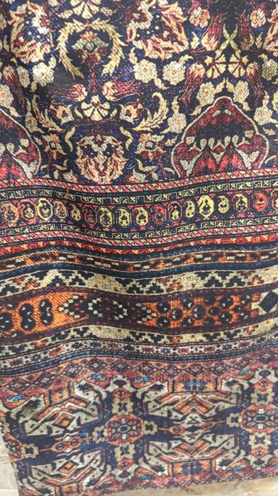 Пола Bebe Plus, M