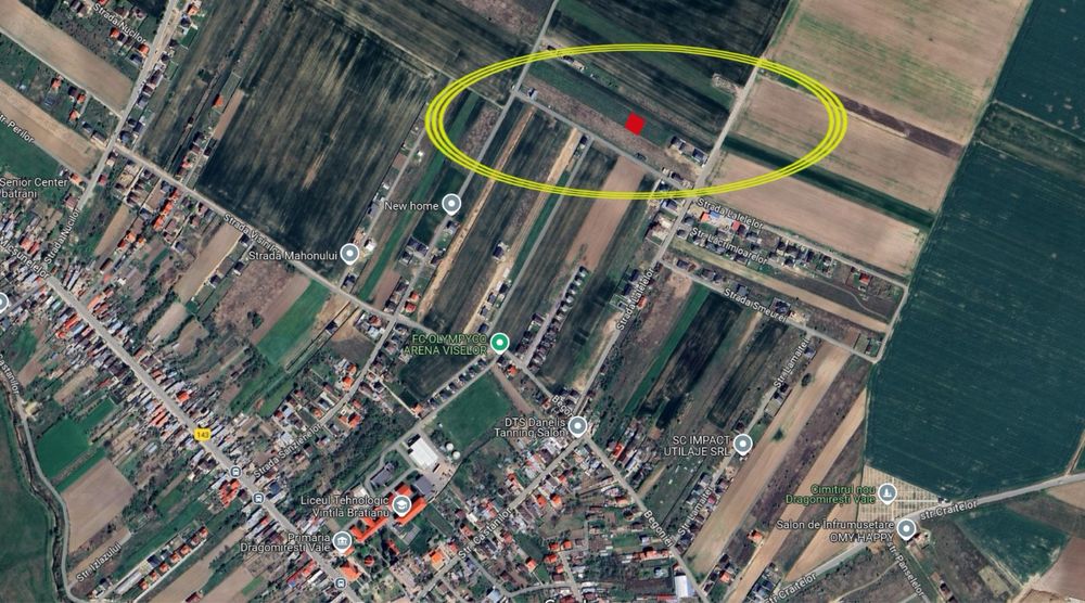 Teren intravilan 500 mp Dragomiresti Vale, str Lalelelor