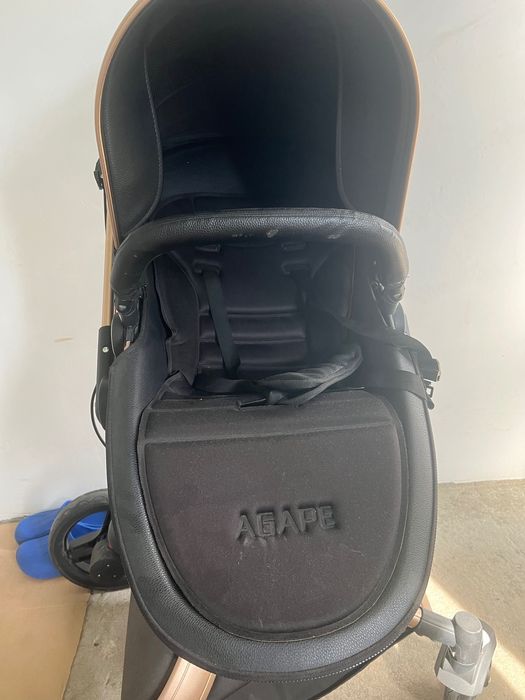 Căruț pentru copii 2in1