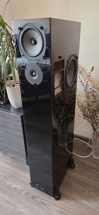 Тонколони Rega rs7