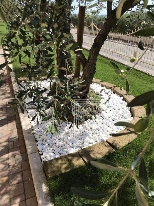 Piatra alba Thassos decor gradima casa flori tuia Verde Rose Gri Roz ...