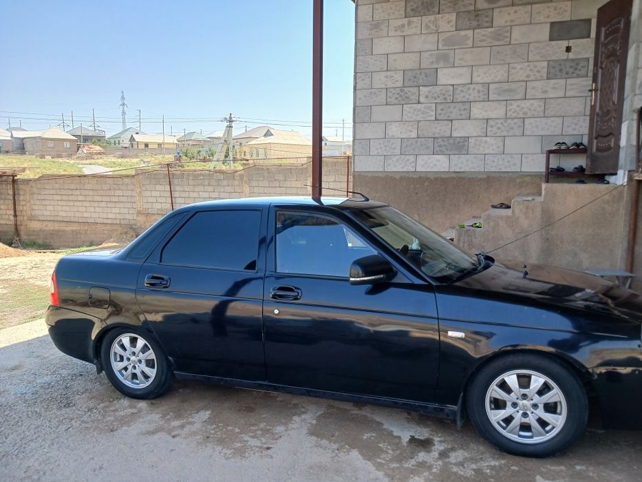 Рамашка тикса 14