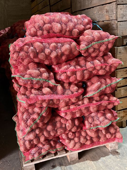 Cartofi de vanzare !