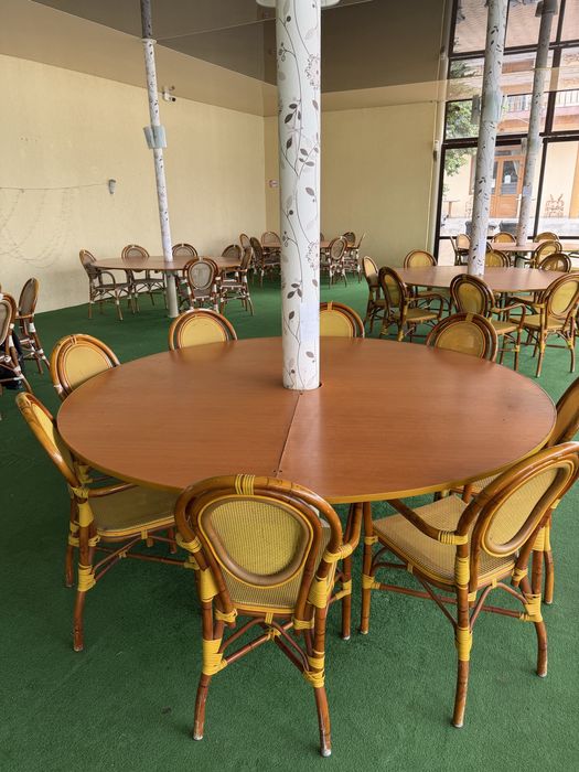 Scaune evenimente, lemn, 210 buc