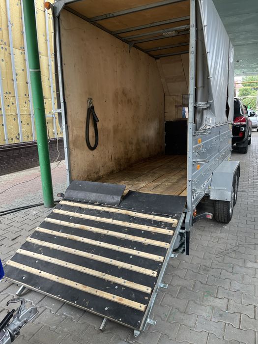 Коневозка перевозка лошадей