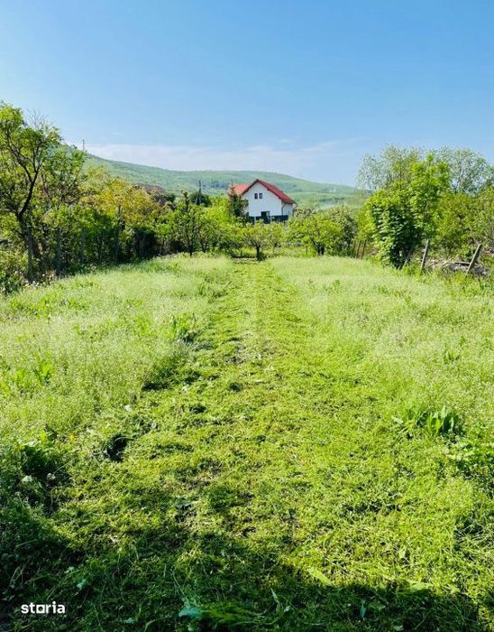 Casa cu 2 camere, 141 mp, 690 mp teren,  Petrestii de Mijloc