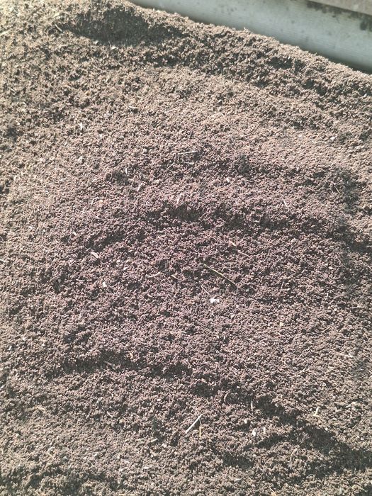 Toza elanga biyagomis