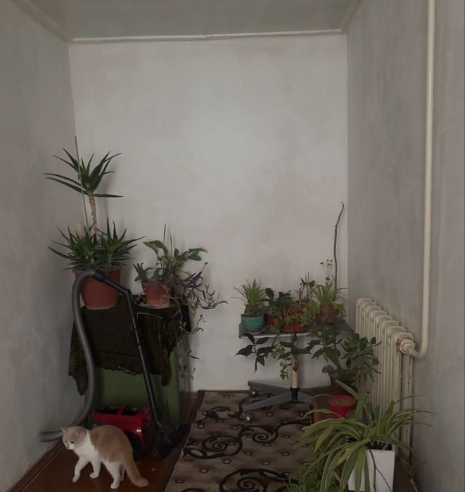 Продается дом/участок