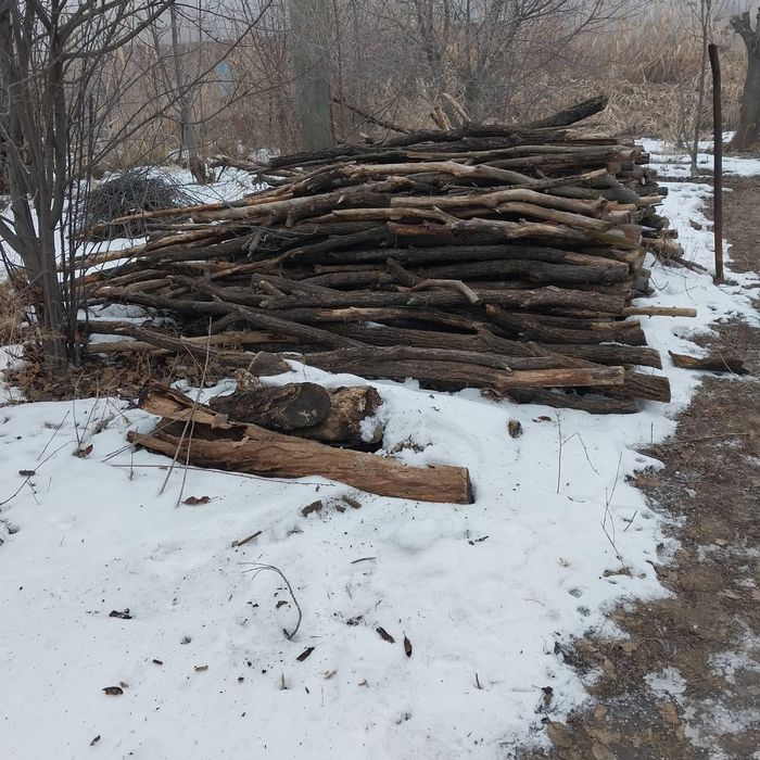 Дрова сухие продам