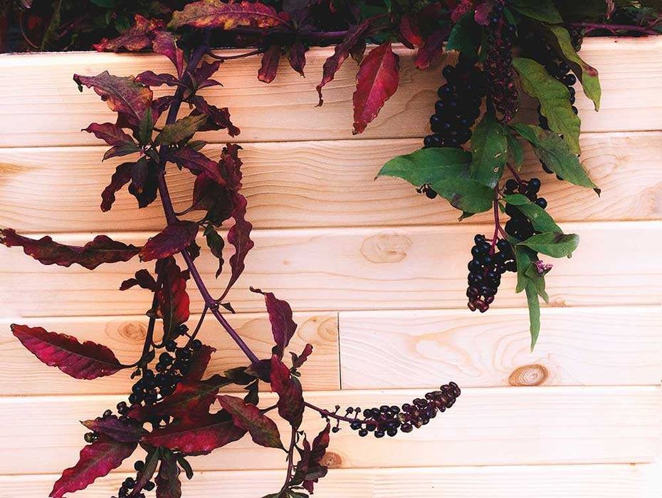 Тясна и широка ламперия, block house | Вагонка, сачак, родопски таван.