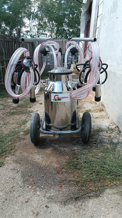 Vând mulgătoare vaci cu două posturi