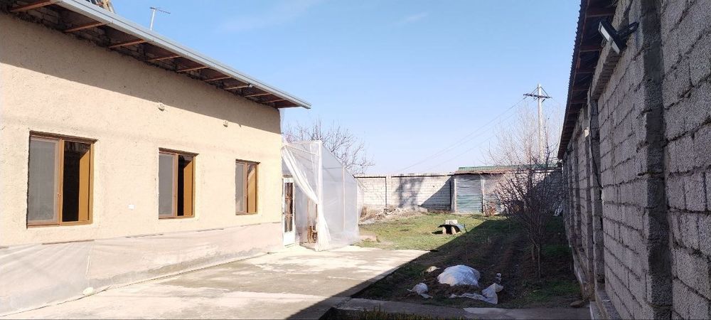 Срочно Дала Ховли сотила