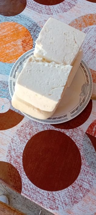 Branza de capra en-gros