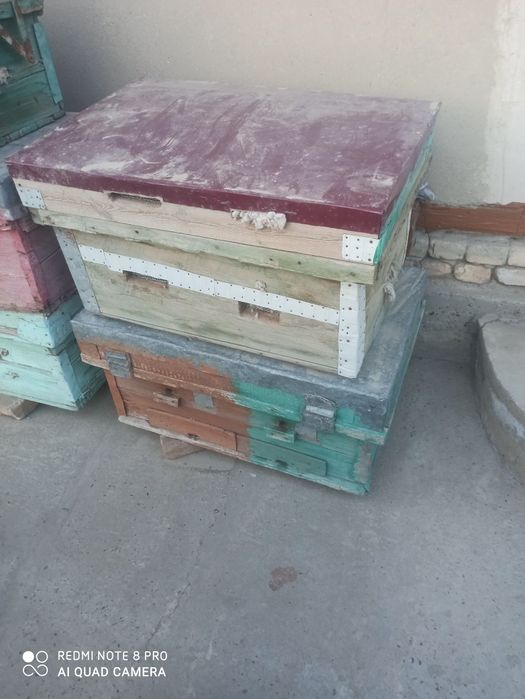 Asal ari qutilari sotiladi arzon narxda pul kere srochna