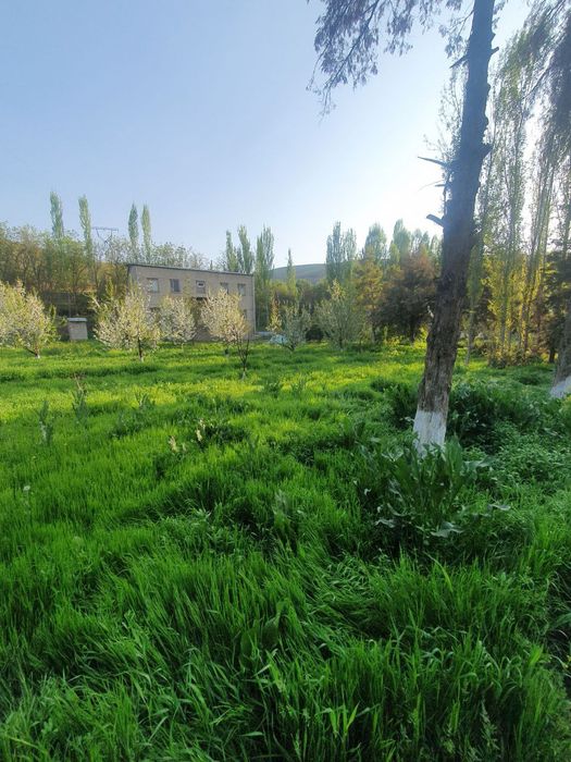 Нотурар бино иншоатлари