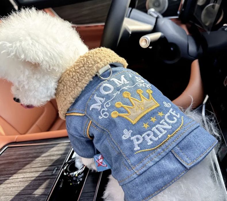 Якета за куче или коте