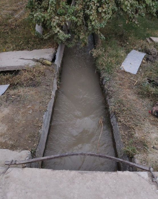 Hamma sharoiti bor Yer