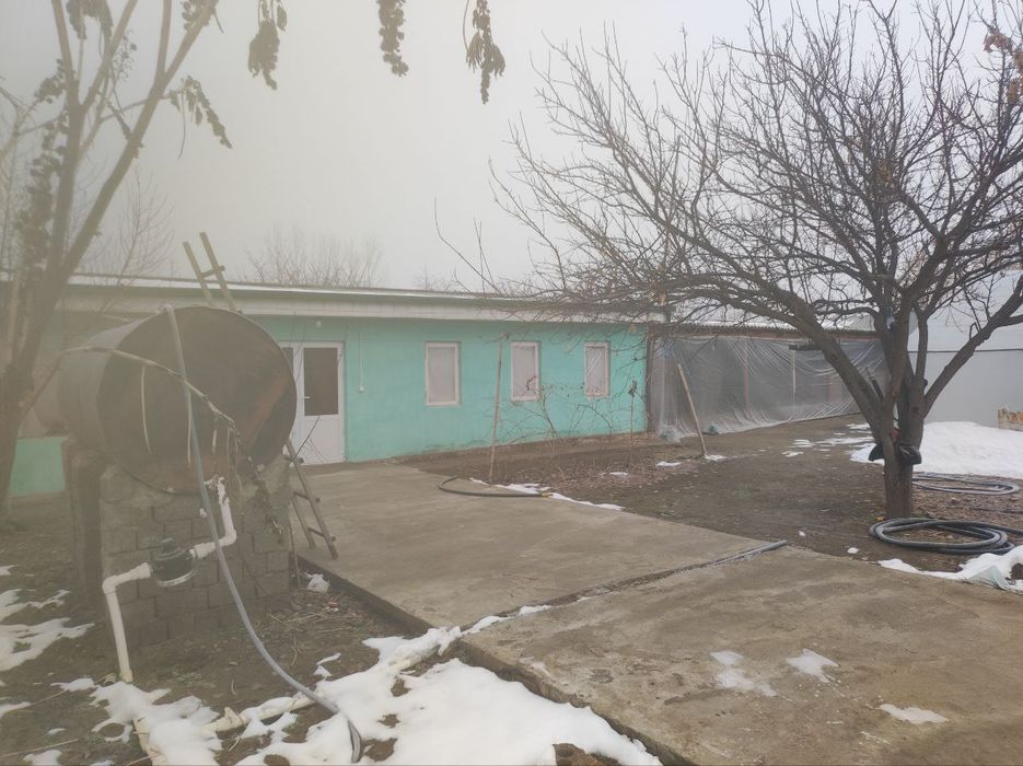 Sirdaryo shaharda 24 sothli uy sotiladi