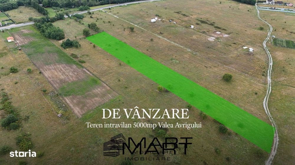 Teren intravilan 5000mp Valea Avrigului