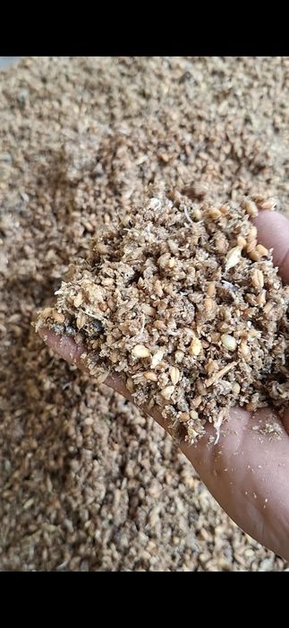 Товуклар ва молар