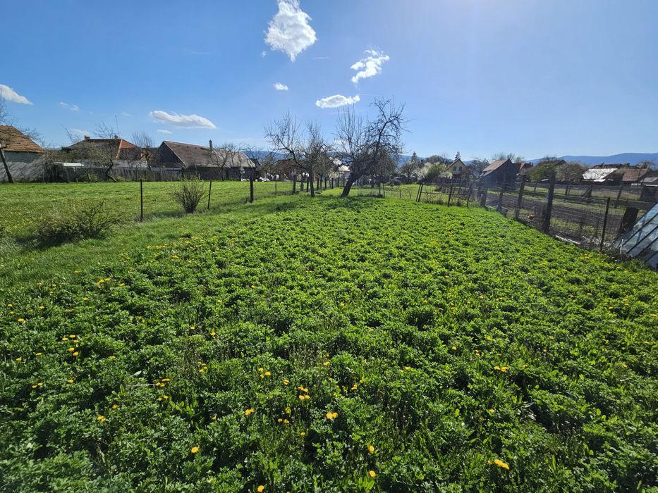 Casă de vânzare Miercurea Ciuc