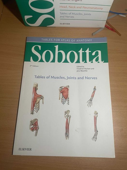 Sobotta Atlas of Anatomy