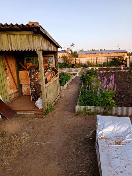 Дача 6 соток Борки