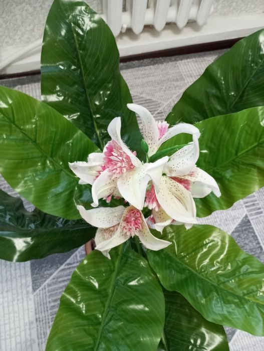 Искусственный цветок