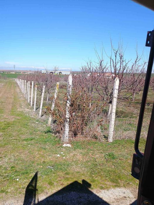 Продава се Земеделски имот в Пловдив, Тракия -  кв.м за 4450 €/дка - Снимка #2