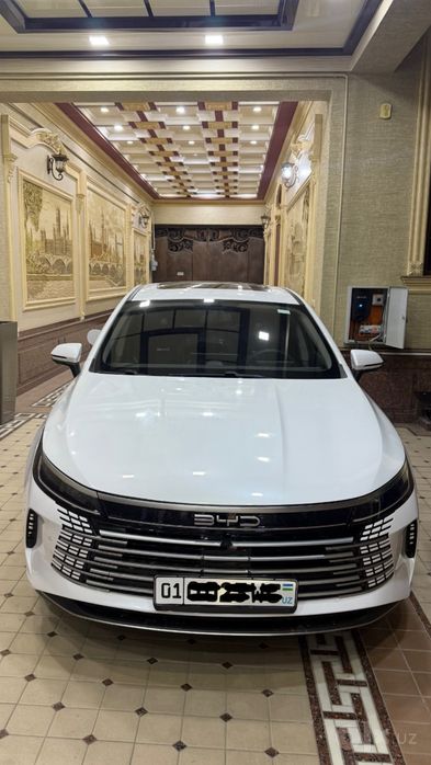 Byd chazor.