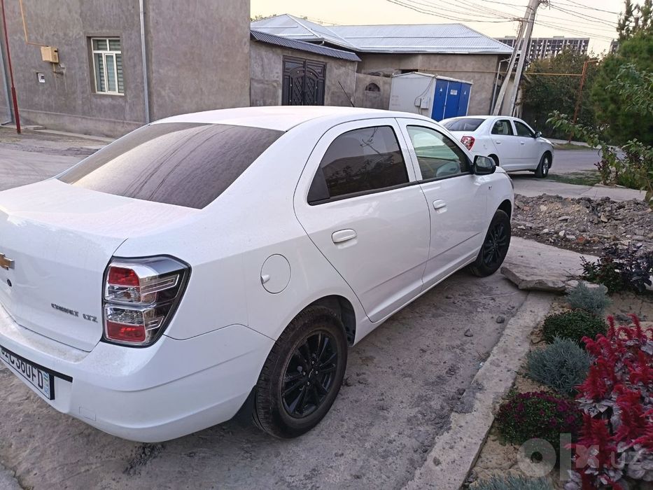 Cobalt 2026 full