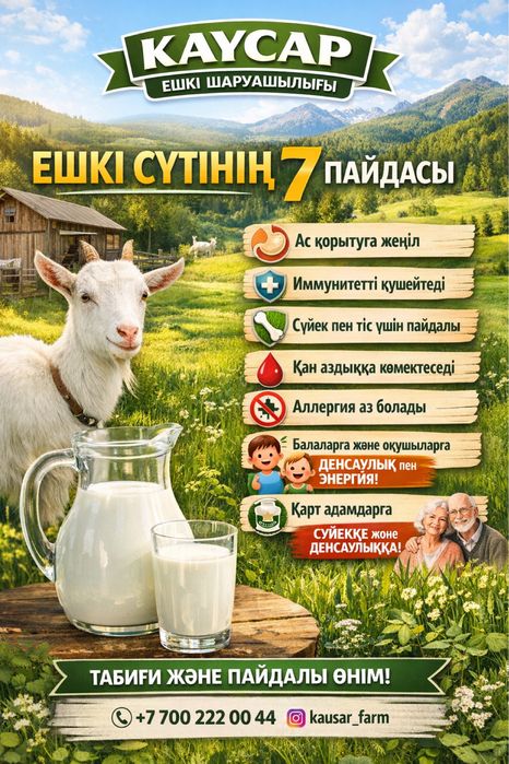 Ешкі сүті. Козье молоко. Дәмді ешкі сүті
