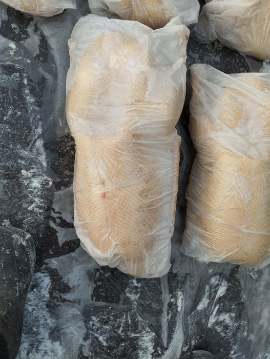 Продам мясо гуся