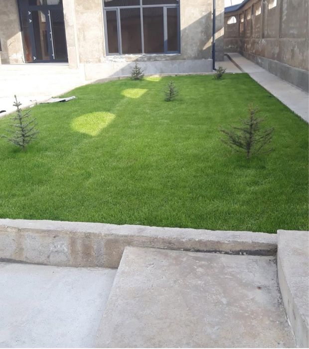 Газон,автополив,полив