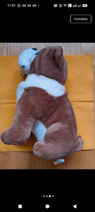 Caine din plus( buldog)