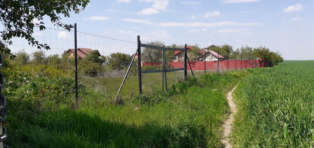 Teren intravilan 500 mp in Glina, Ilfov, langa Bucuresti
