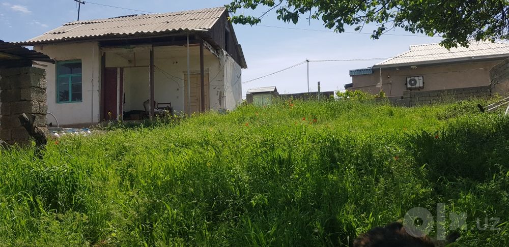 Ховли жой сотилади