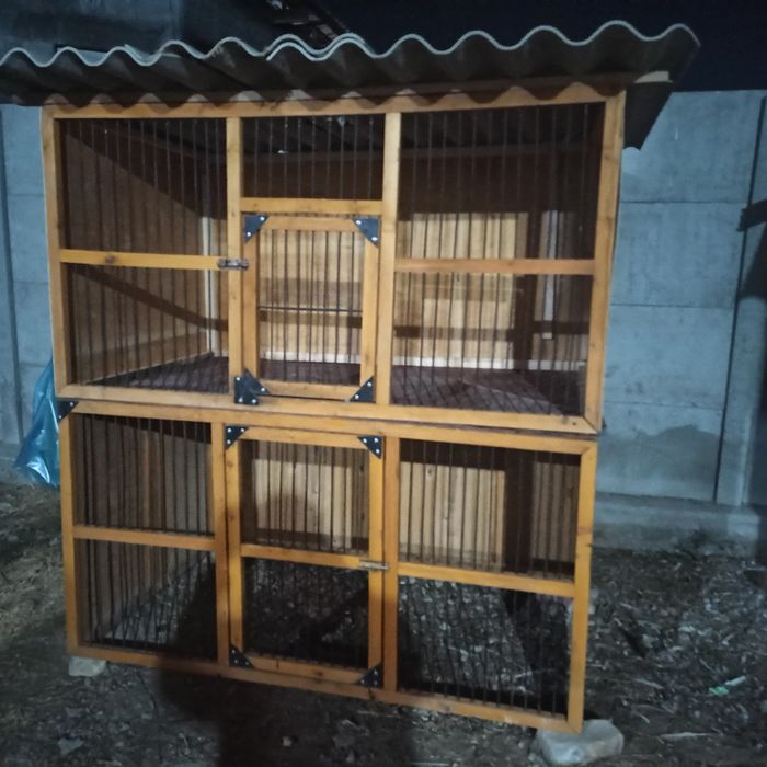 Валер под заказ хороз каптар товуклар учун