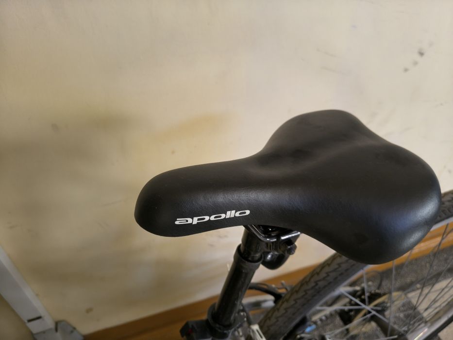 Bicicleta dama de oras (28 inchi)