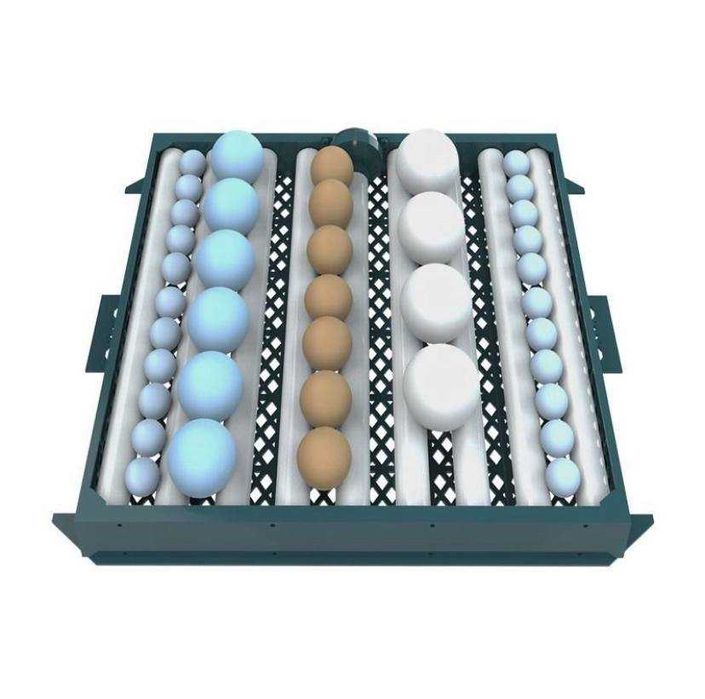 INKUBATOR, suniy tuxum ochish aparati l Joja (kichik biznes)