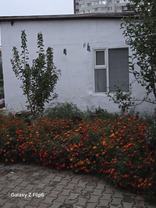 Аренда жилого дрма