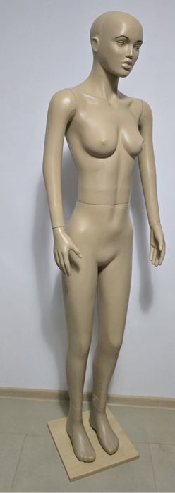 Rafturi metalice pentru aprozar și manechine pentru spații comerciale.