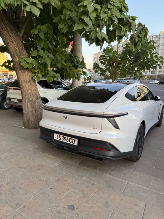 Robo car elektr arenda