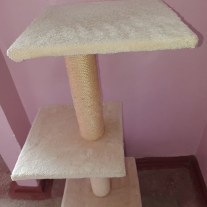 Loc de joaca si dormit pisici